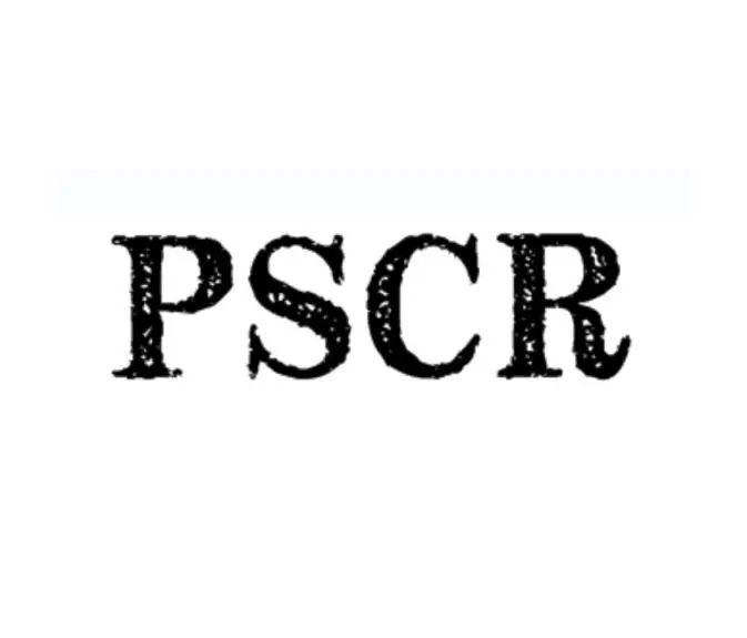 Khóa đào tạo Đại diện An toàn và Tuân thủ Sản phẩm (PSCR)